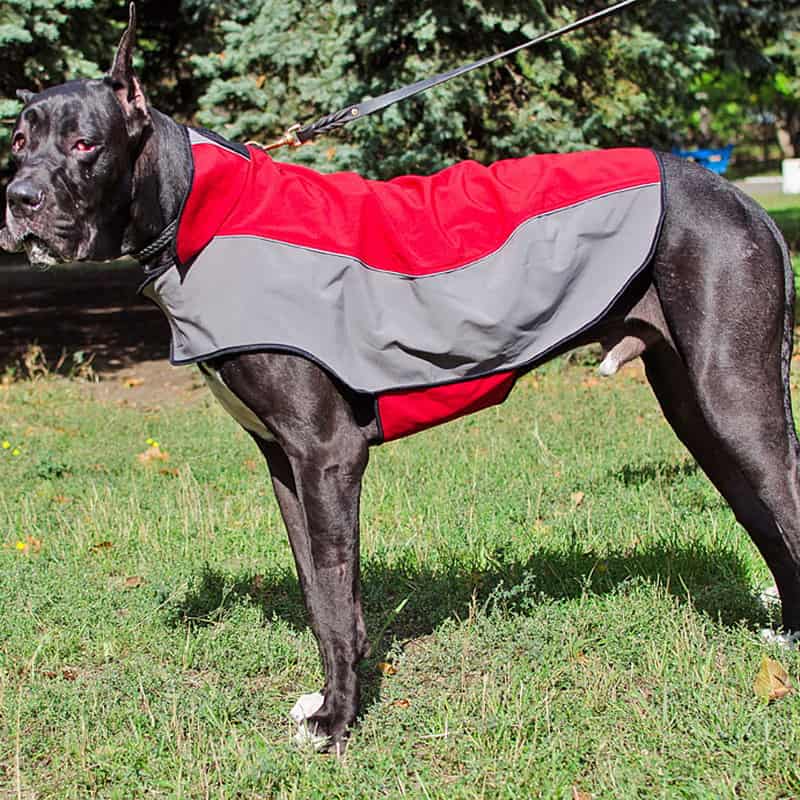 Нейлоновая накидка дождевик для немецкого дога «Raincoat Cape»